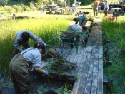 ㈪池水草あげ.jpg