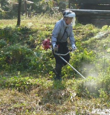 畦や池内の草刈り.jpg