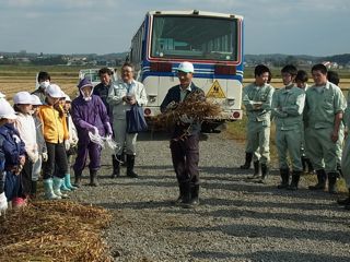 浪岡野沢小学校との食育活動（ダイズの収穫）2.jpg