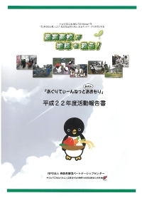 報告書22.pdf